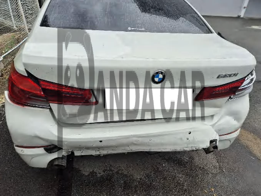 2019 BMW 520i Luxury, photograph 1