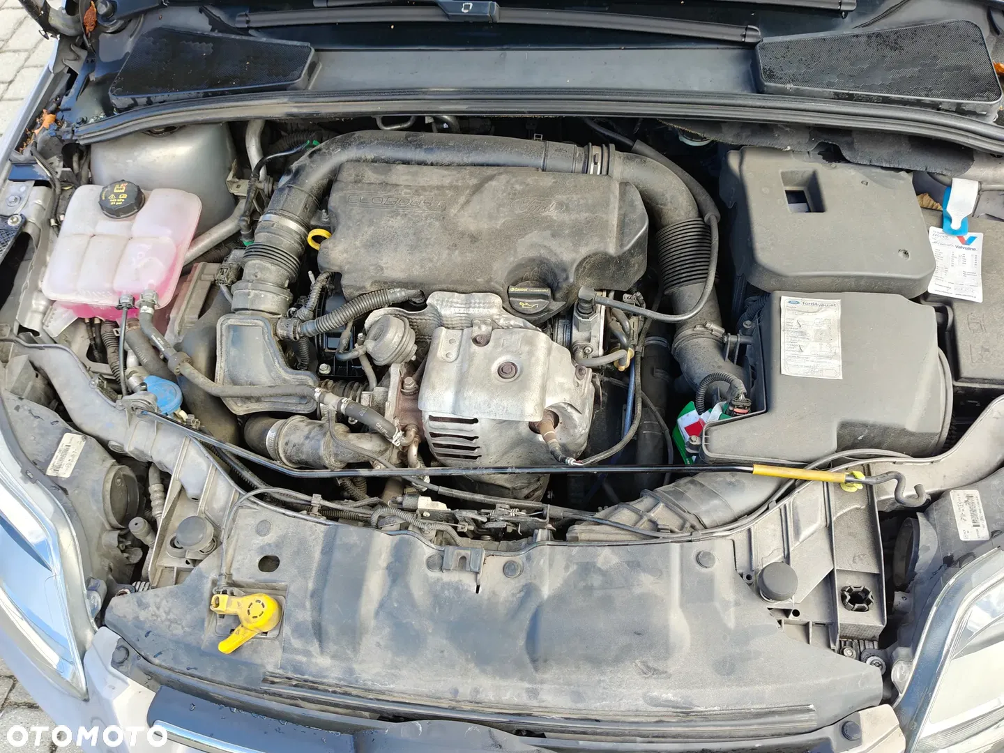 2013 Ford Focus 1.0 EcoBoost STart-Stopp-System Titanium, photograph 9
