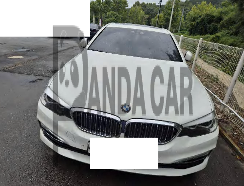 2019 BMW 520i Luxury, photograph 4