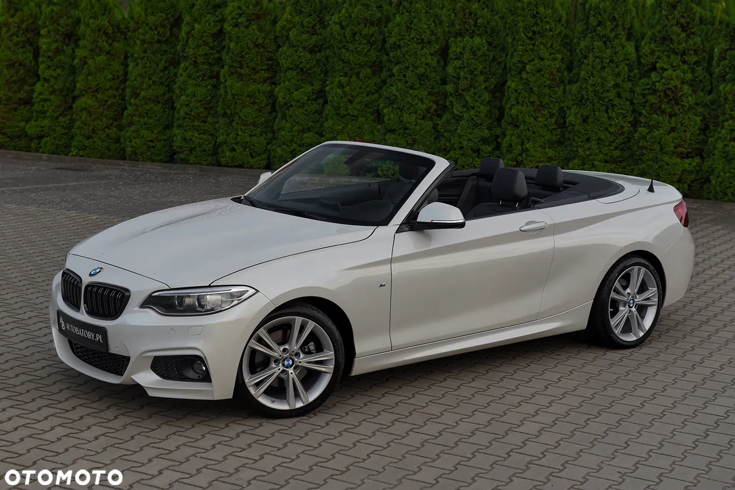 2015 BMW Seria 2 220d M Sport, photograph 8