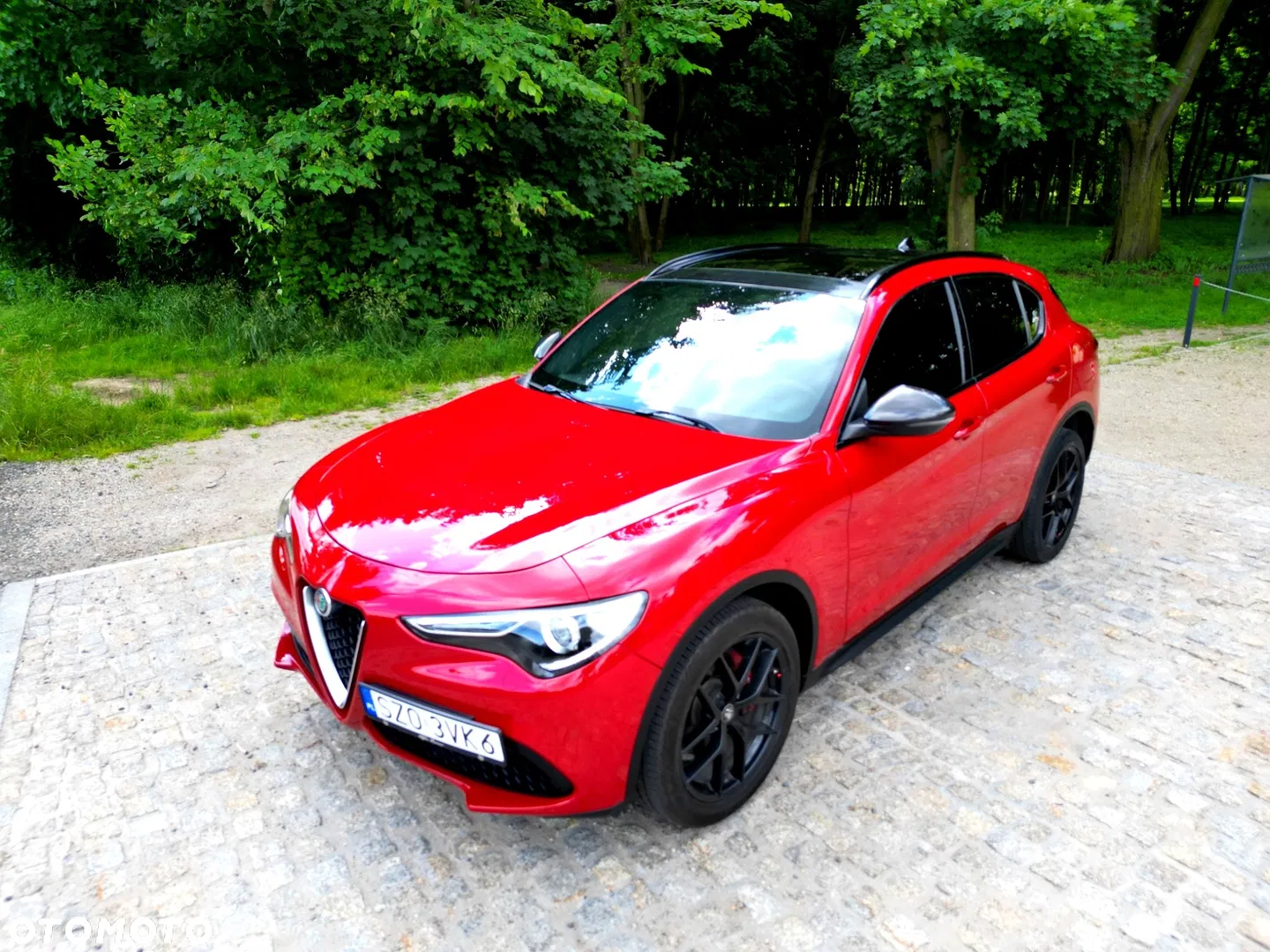 2019 Alfa Romeo Stelvio 2.0 Turbo 16V AT8-Q4 Ti, photograph 2