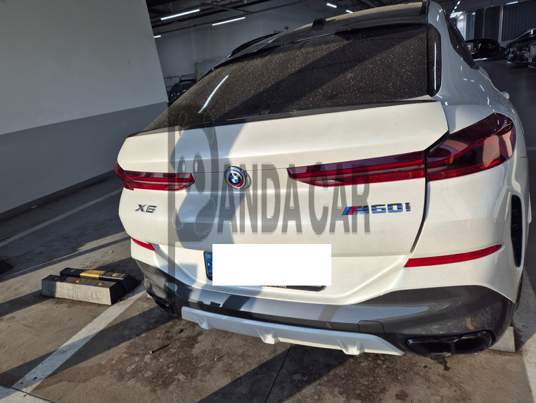 2025 BMW X6 xDrive40i M Sport, photograph 3