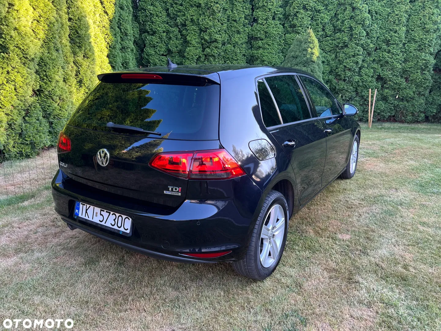 2012 Volkswagen Golf 1.6 TDI Highline, photograph 10