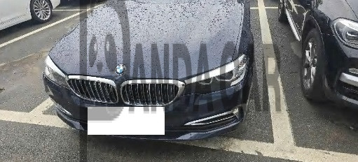 2019 BMW 520i Luxury, photograph 1