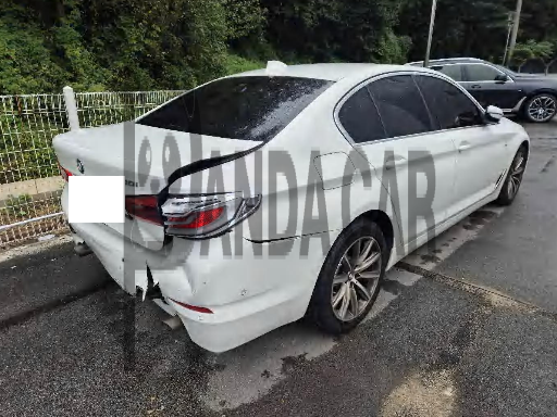 2019 BMW 520i Luxury, photograph 3