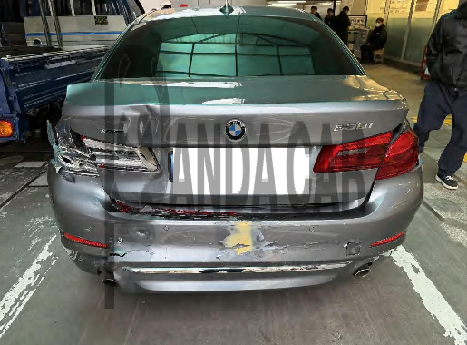 2019 BMW 530i xDrive Luxury, photograph 1
