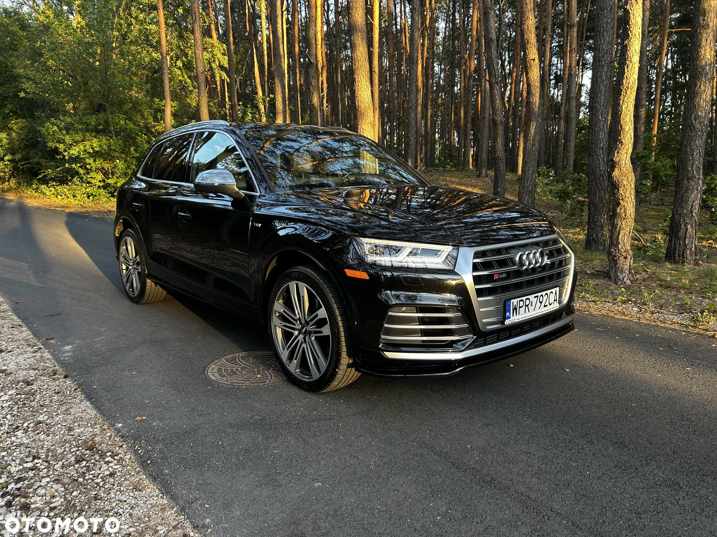 Audi SQ5 3.0 TFSI Quattro Tiptronic — photo 1 of 14