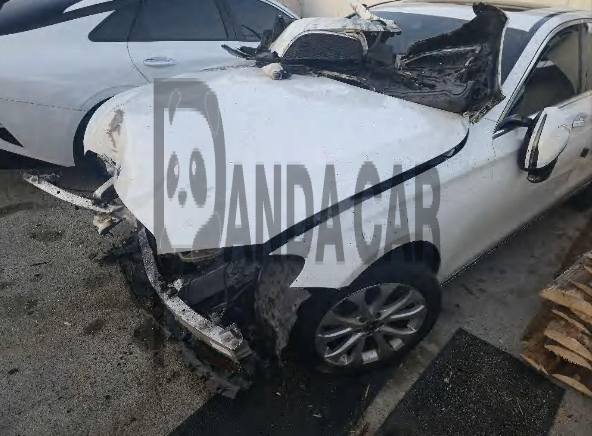 2019 Mercedes-Benz E220 d 4Matic, photograph 1