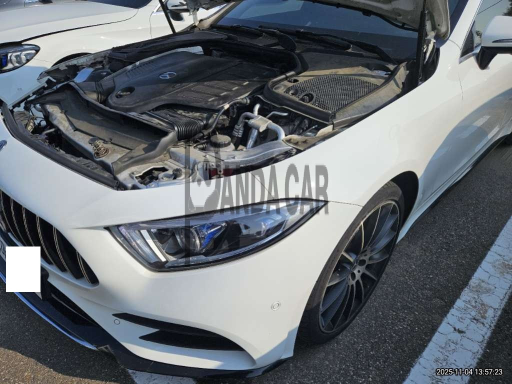 2019 Mercedes-Benz CLS450 4Matic, photograph 3