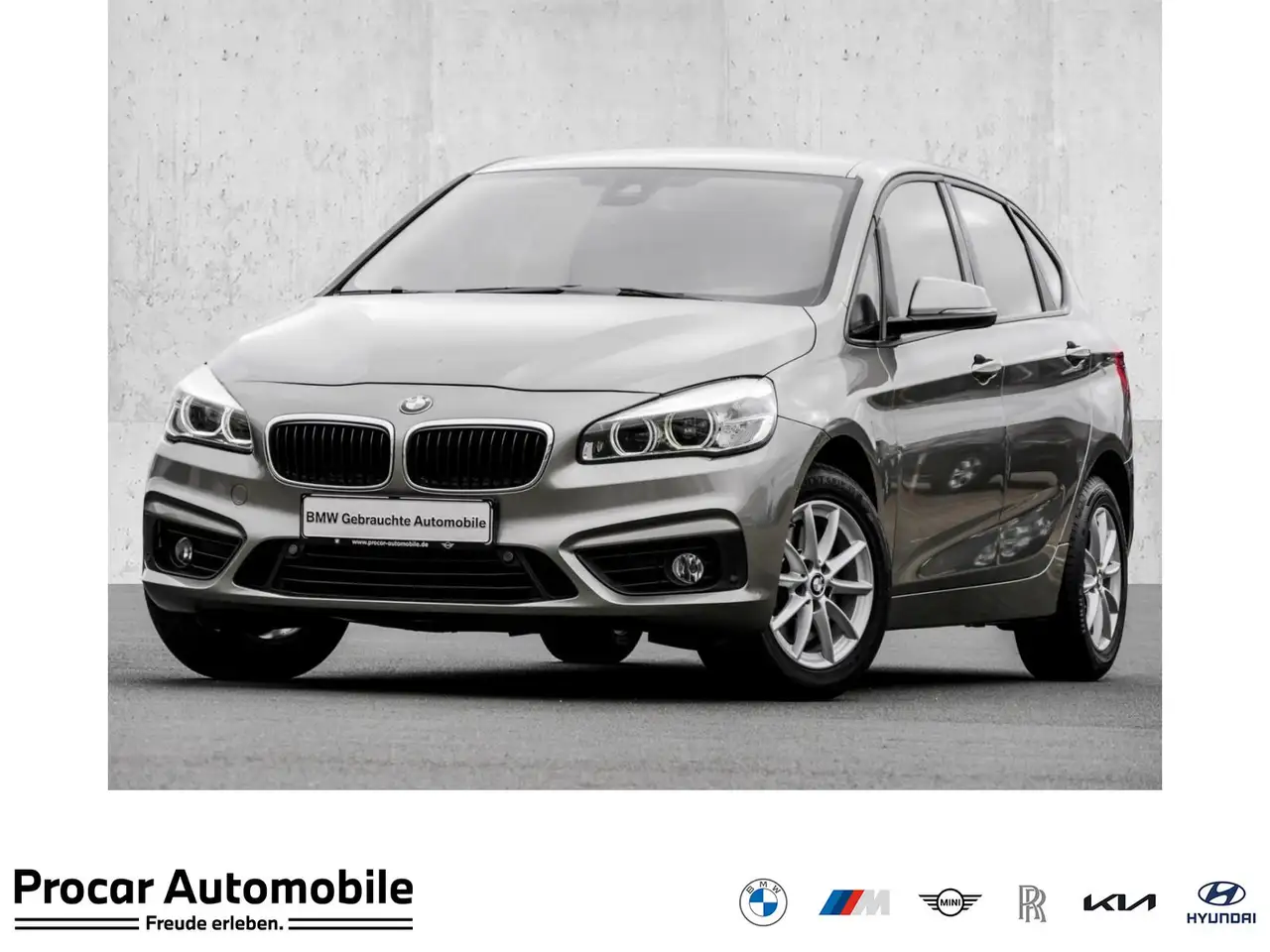 BMW 220 i Advantage NAVI LED PDC Shz — photo 1 of 15