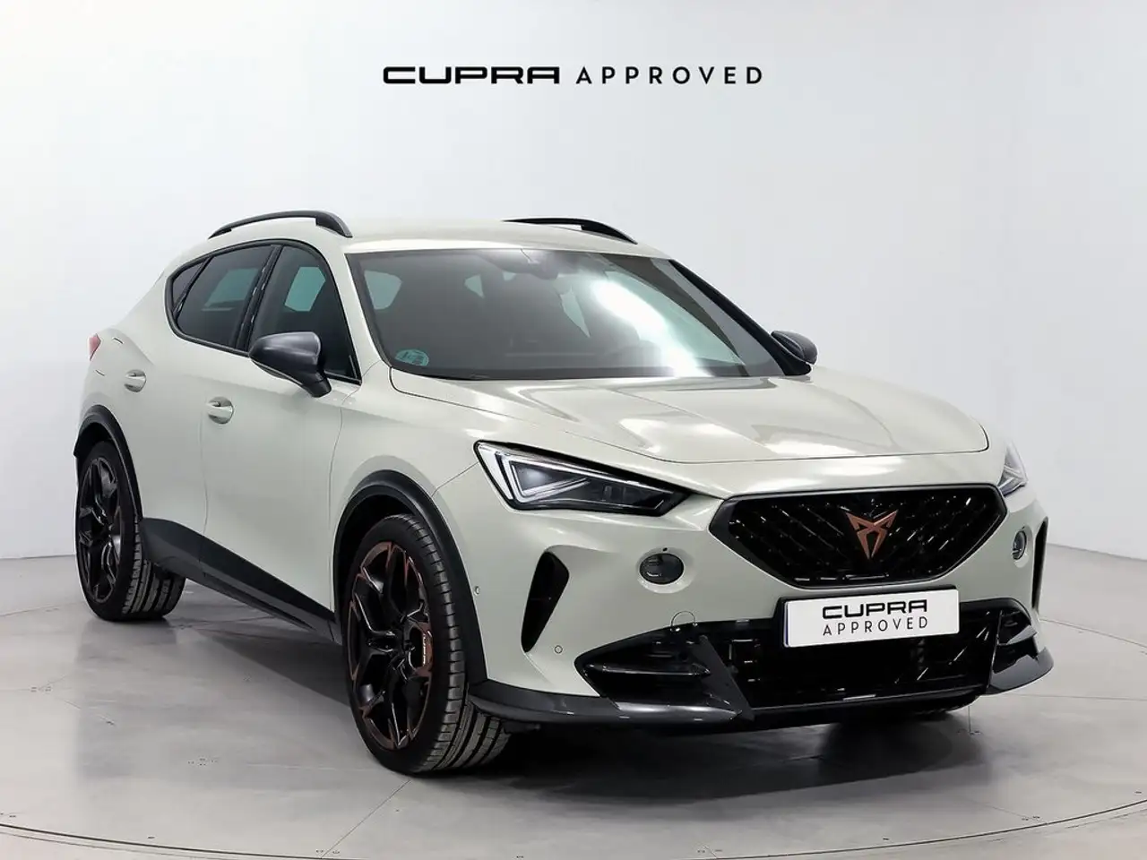 CUPRA Formentor 2.5 TSI 390 VZ5 DSG 4Drive — photo 1 of 15