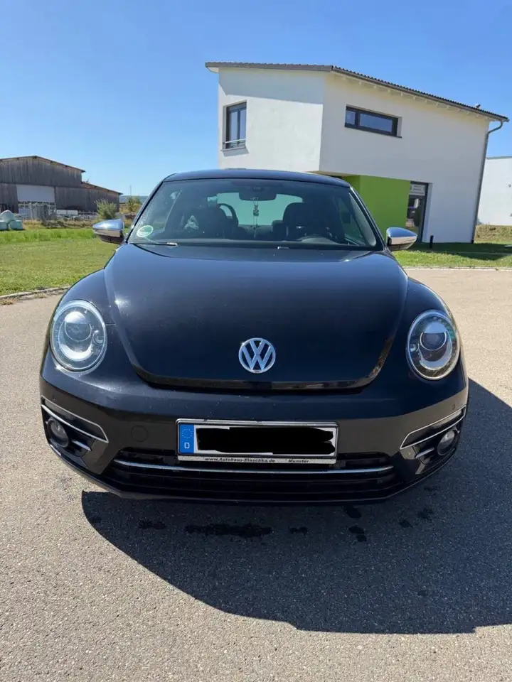 Volkswagen Beetle Allstar — photo 1 of 11