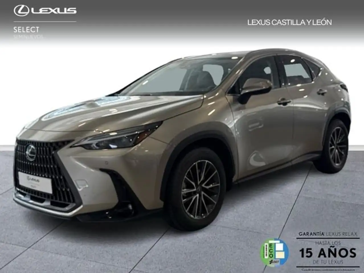 Lexus NX 450h+ 450H + PREMIUM + 4WD — photo 1 of 10