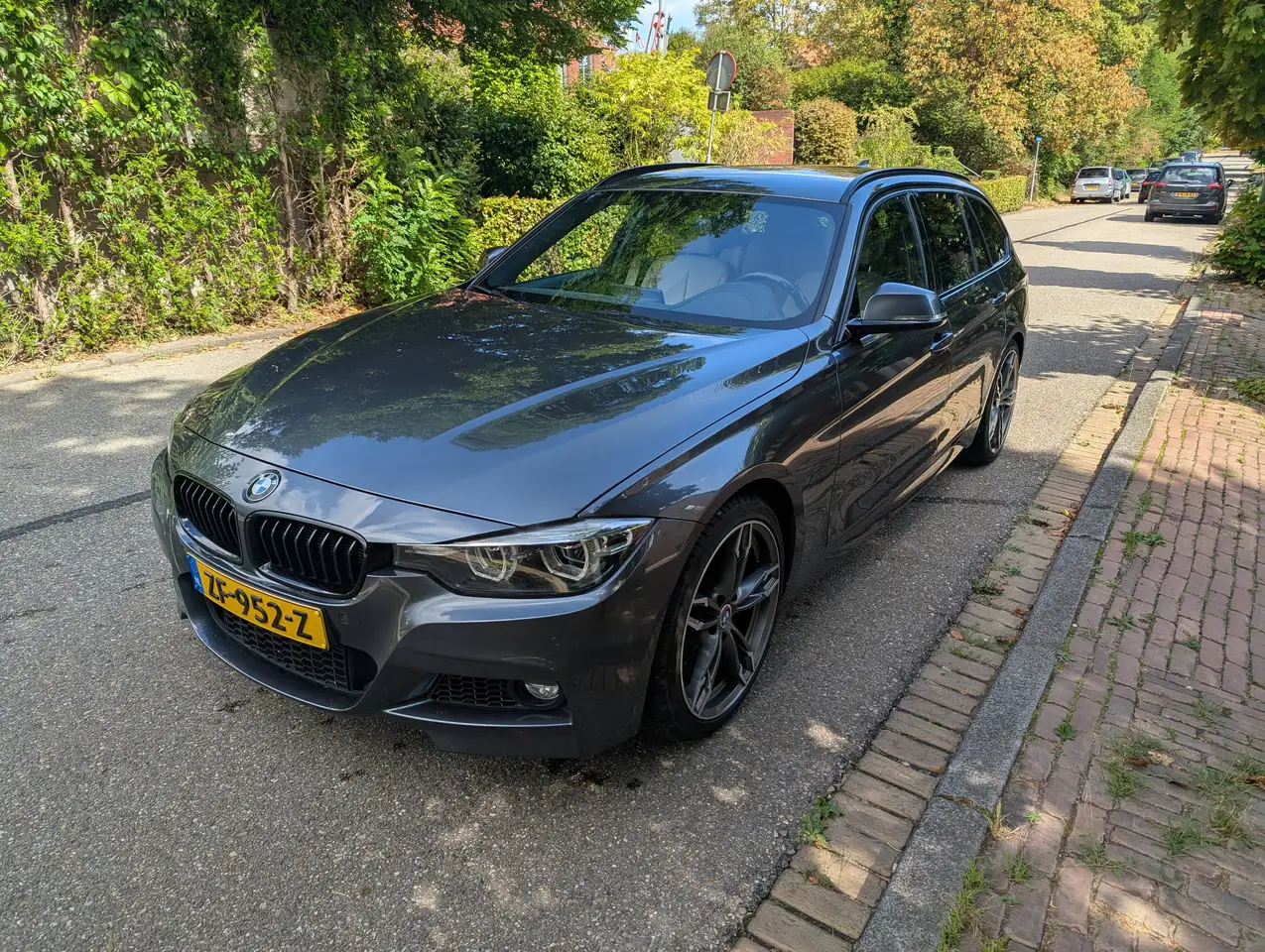 BMW 318 Volledig BMW dealer onderhouden — photo 1 of 15