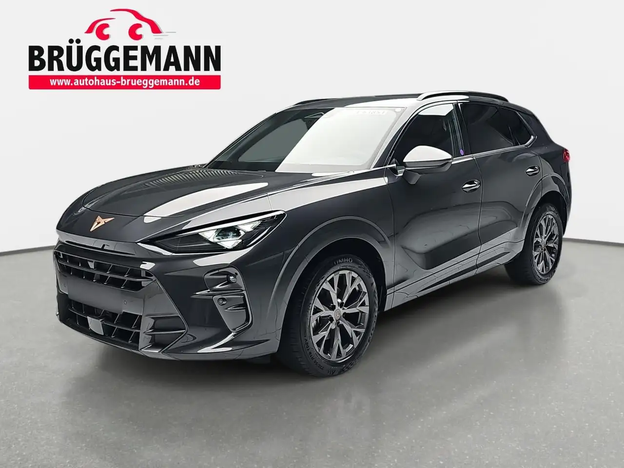 CUPRA Terramar TERRAMAR 1.5 ETSI DSG LED ACC KAMERA LM18 — photo 1 of 20