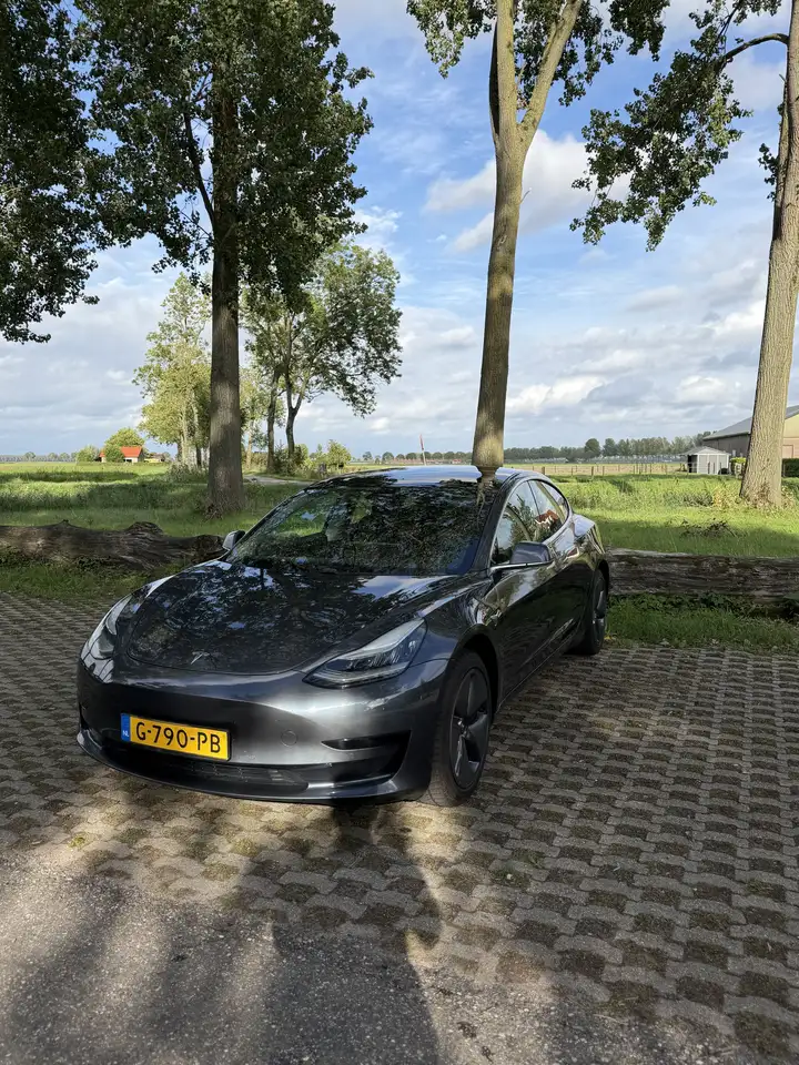 Tesla Model 3 Stnd.RWD Plus 60 kWh SOH 87% — photo 1 of 20