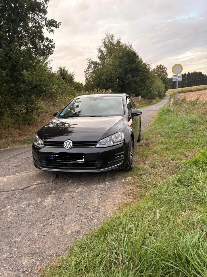 Volkswagen Golf VW Golf 7 ALLSTAR BlueMotion — photo 1 of 8