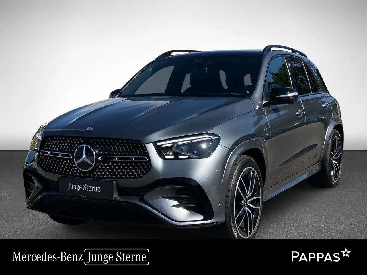 Mercedes-Benz GLE 350 de 4MATIC SHZ EASY-PACK — photo 1 of 21