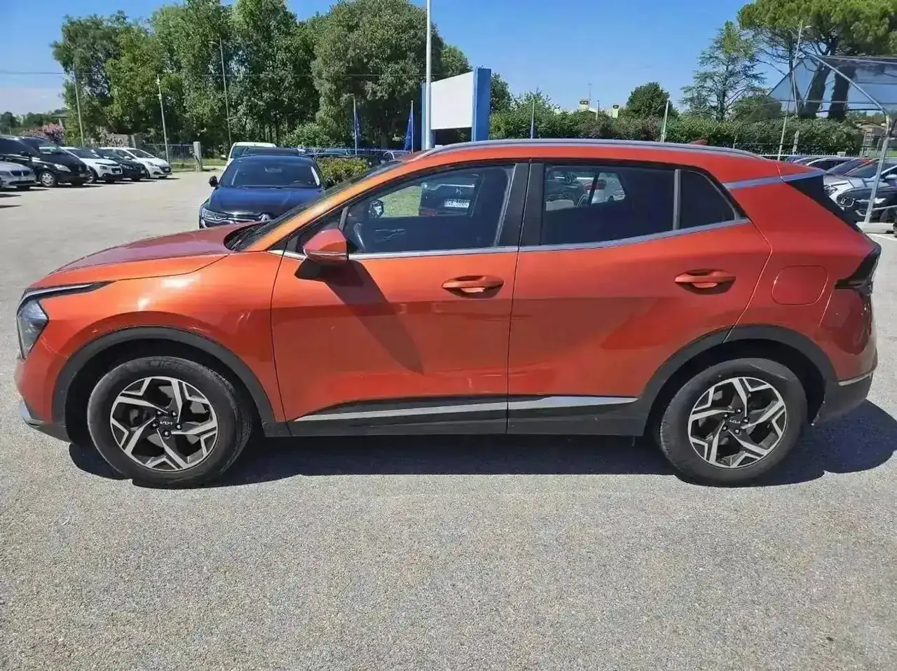 2022 Kia Sportage Sportage 1.6 crdi mhev Business - GK250RP, photograph 2