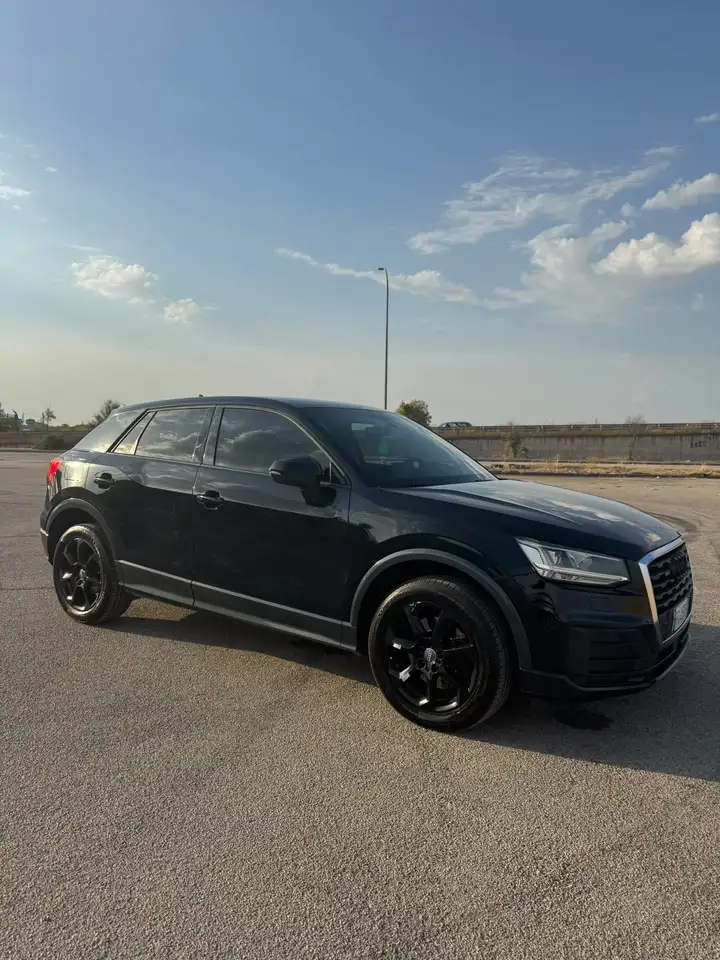 Audi Q2 1.6 tdi Business s-tronic — photo 1 of 15