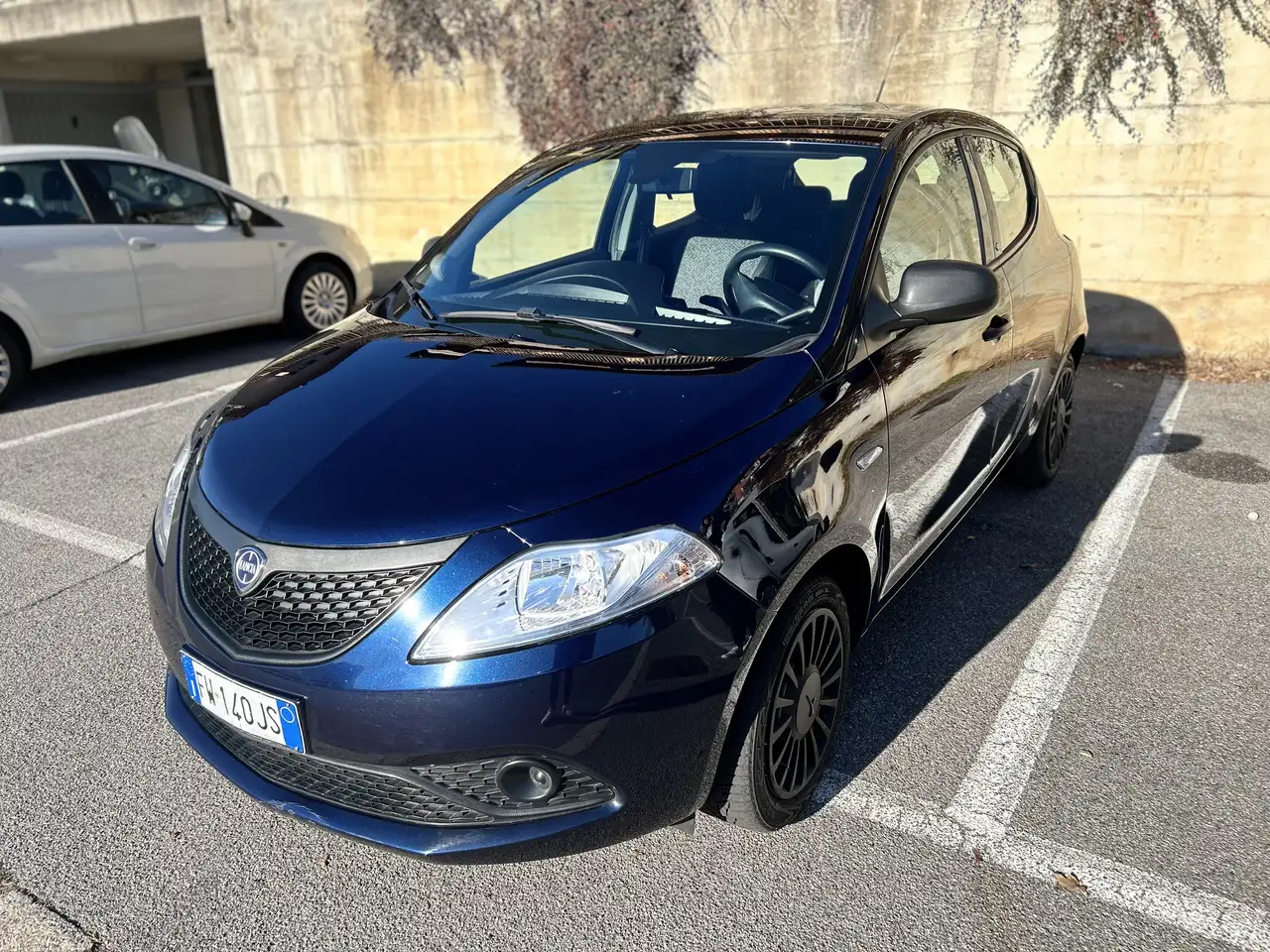 Lancia Ypsilon 1.2 Elefantino Blu s&s 69cv my19