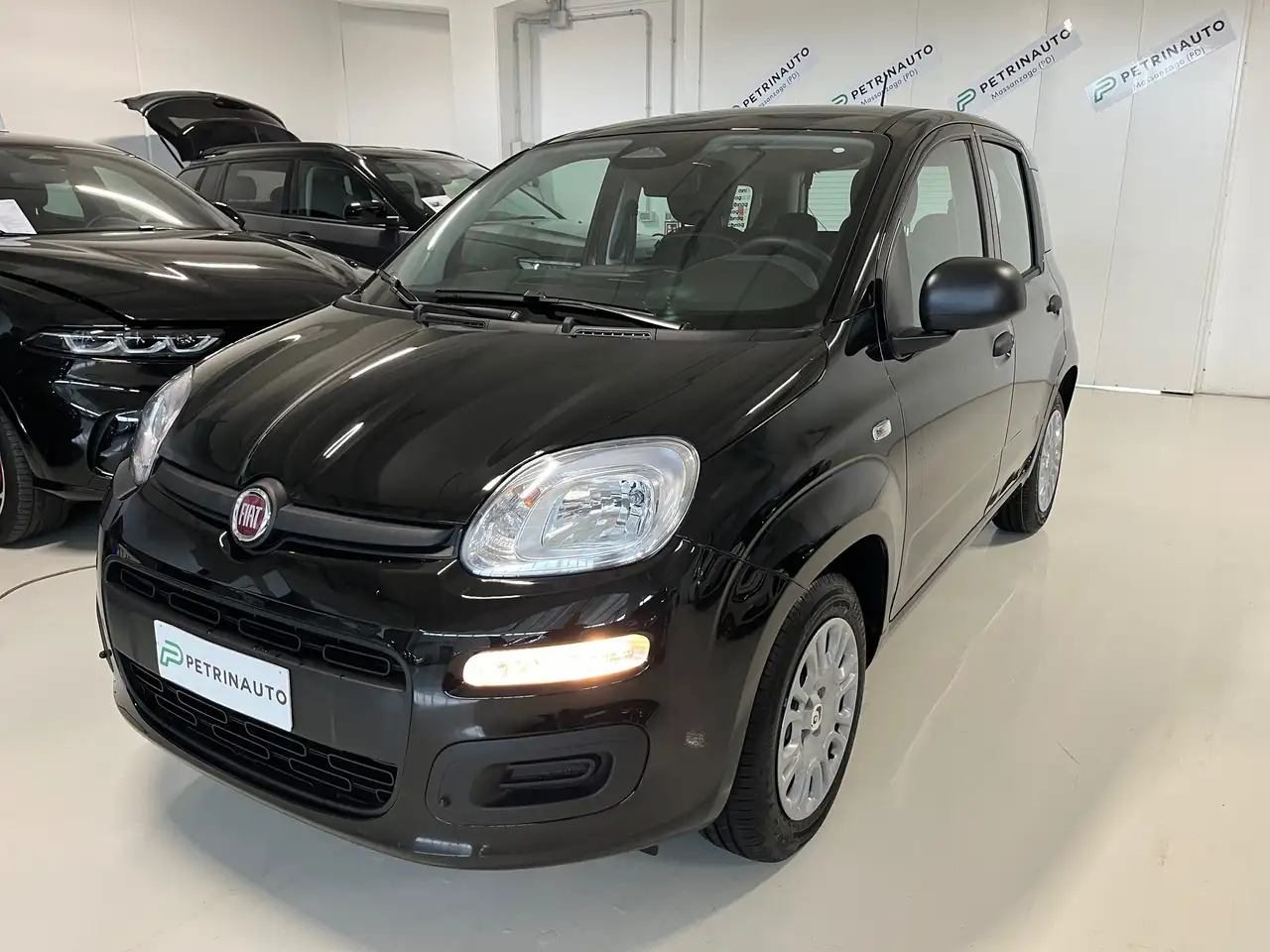 Fiat Panda Pandina 1.0 firefly hybrid Icon s&s 65cv 5p.ti — photo 1 of 15