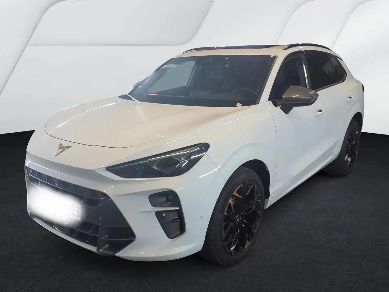 CUPRA Terramar VZ 2.0 TSI DSG - 4Drive Pano Navi ACC LED Kamera S — photo 1 of 4