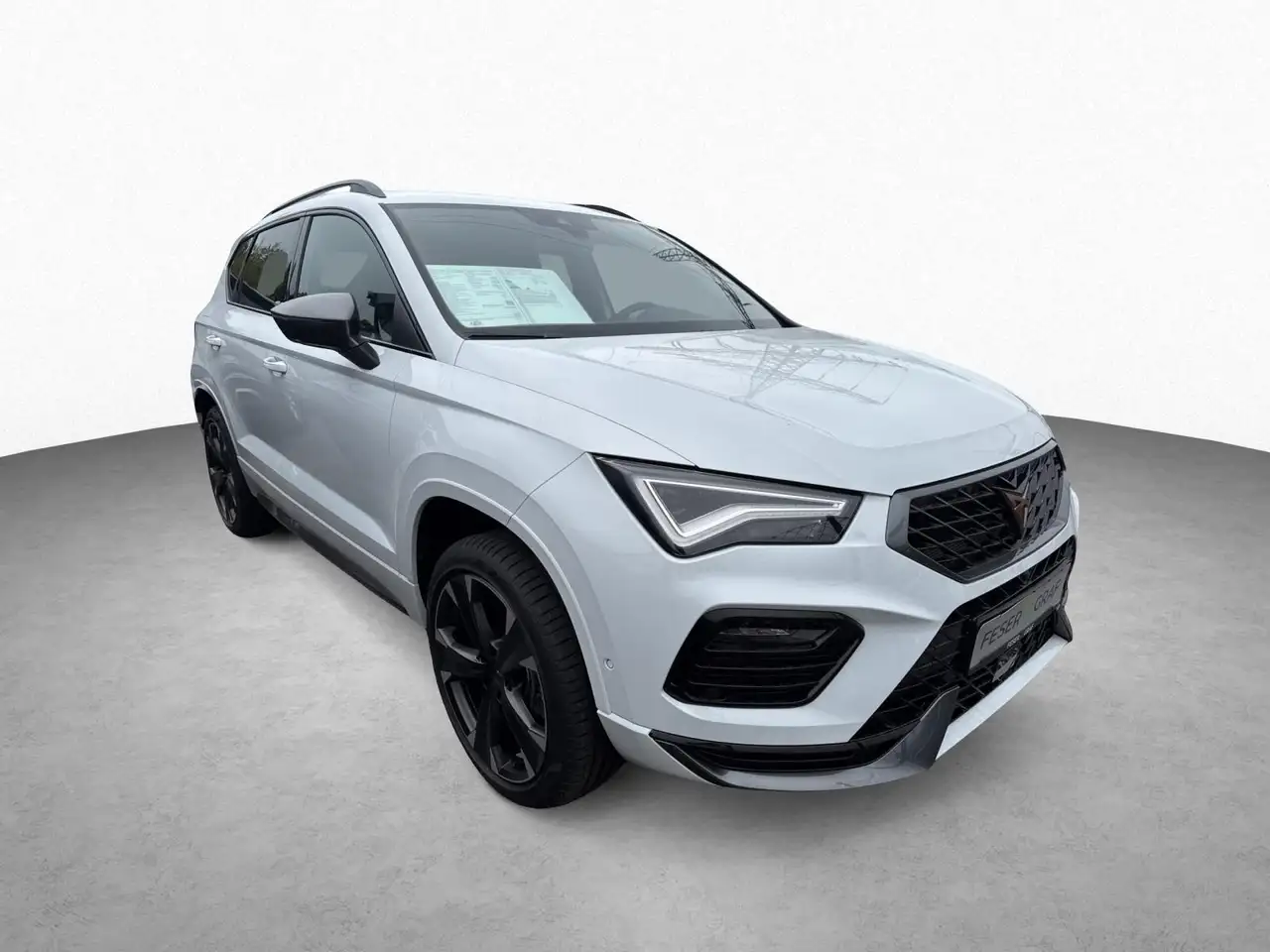 CUPRA Ateca 2.0 TSI DSG el.SITZ|HECK TOPVIEW FAPA NAVI — photo 1 of 12