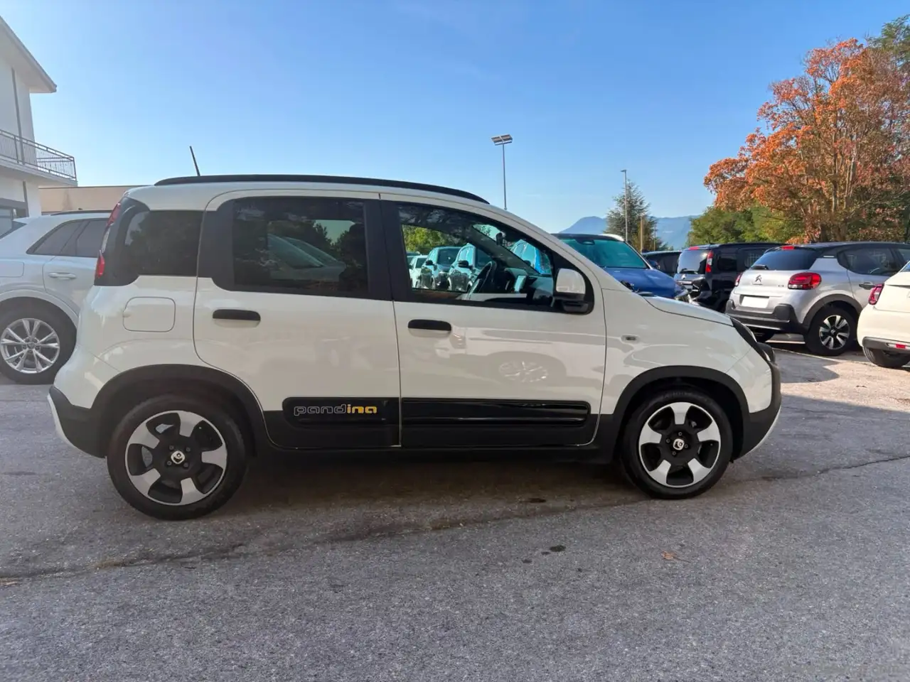 2025 Fiat Panda 1.0 FireFly S&S Hybrid Pandina, photograph 4