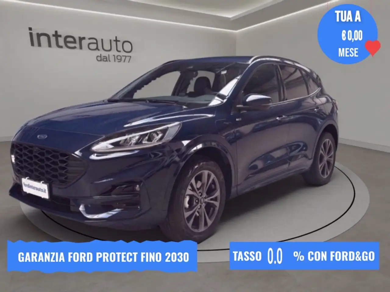 Ford Kuga 2.5 Plug In Hybrid 225 CV CVT 2WD ST-Line — photo 1 of 15