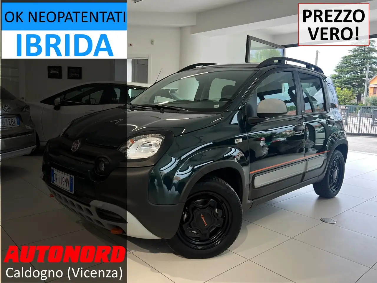 Fiat Panda Panda 1.0 FireFly S&S Hybrid Garmin — photo 1 of 18
