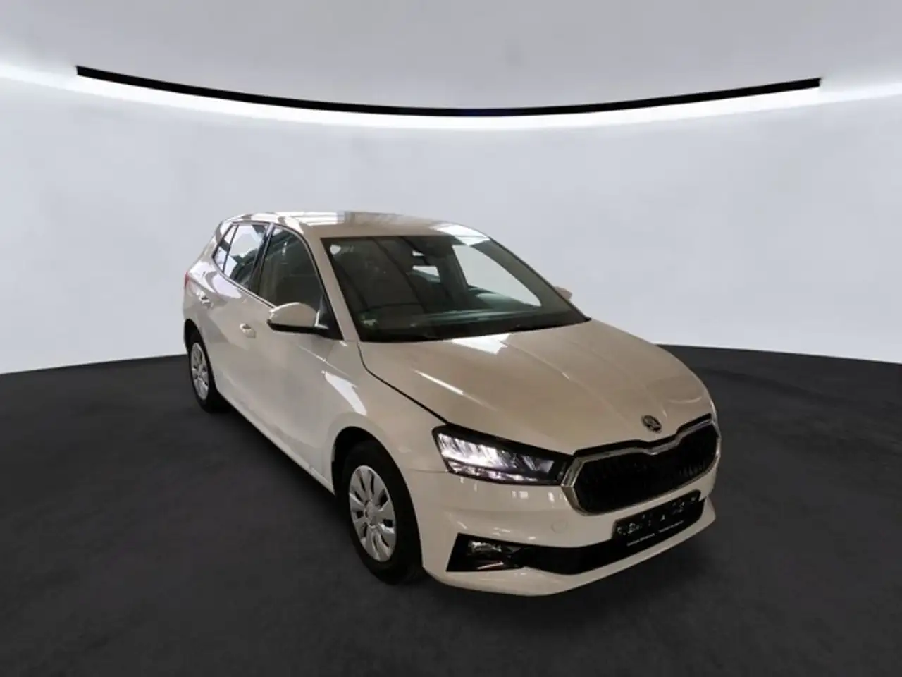 Skoda Fabia Selection 1.0 MPI Klimatronic/PDC/SHZ Selection — photo 1 of 7