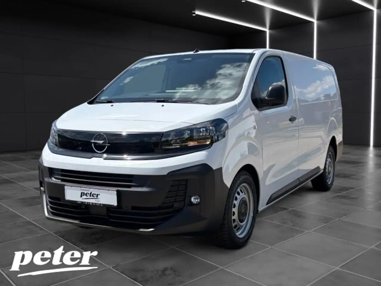 Opel Vivaro Cargo XL Allwetter Klima Rückfahrkam AHK B — photo 1 of 20