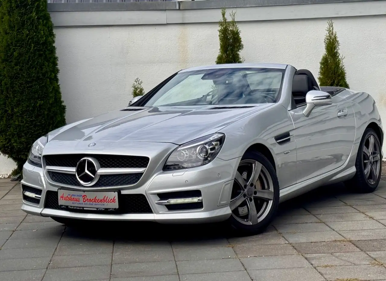 Mercedes-Benz SLK 350 SLK Roadster BlueEfficiency Edition 1 — photo 1 of 25