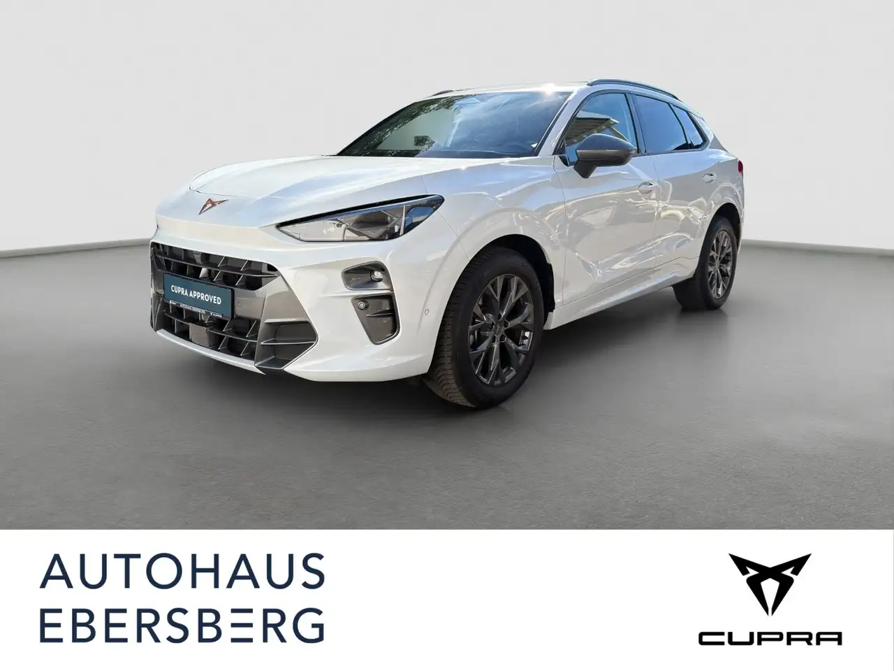 CUPRA Terramar 1.5 eTSI 5JGAR MATRIX Navi Memory HUD — photo 1 of 16