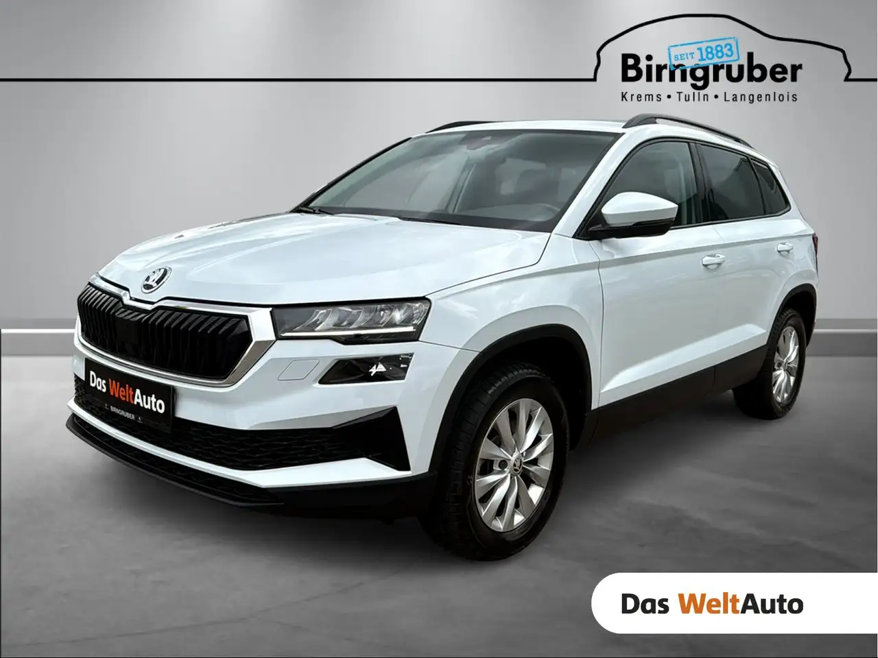 Skoda Karoq Selection TSI DSG ACT — photo 1 of 16
