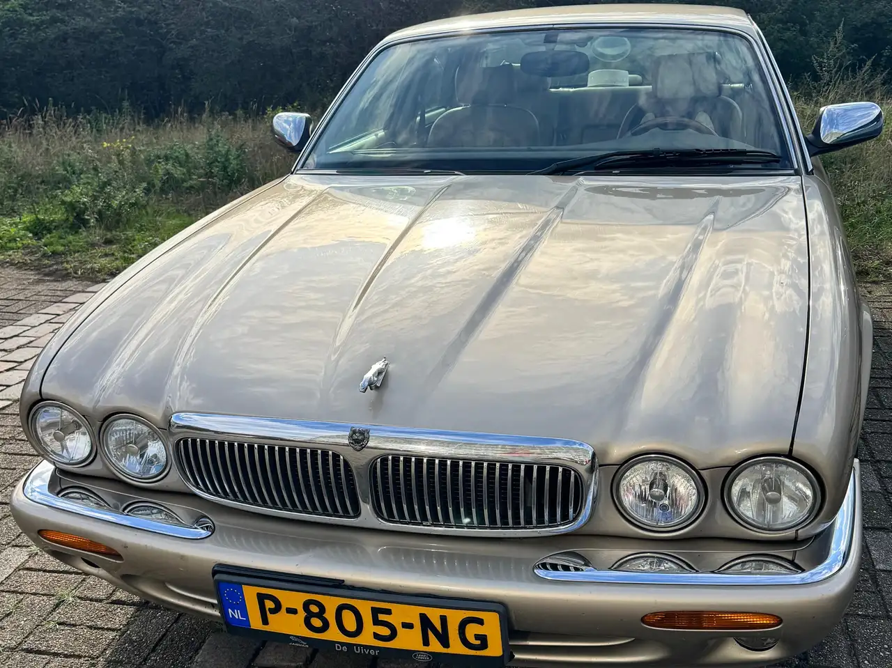 Jaguar Sovereign Sovereign 3.2 V8 — photo 1 of 9