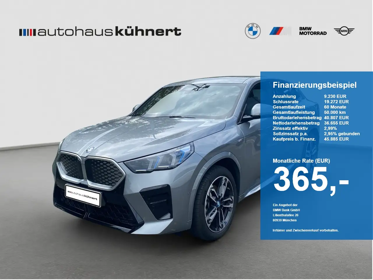 BMW iX2 xDrive30 M-Sport ACC SpurAss 360° AHK — photo 1 of 20