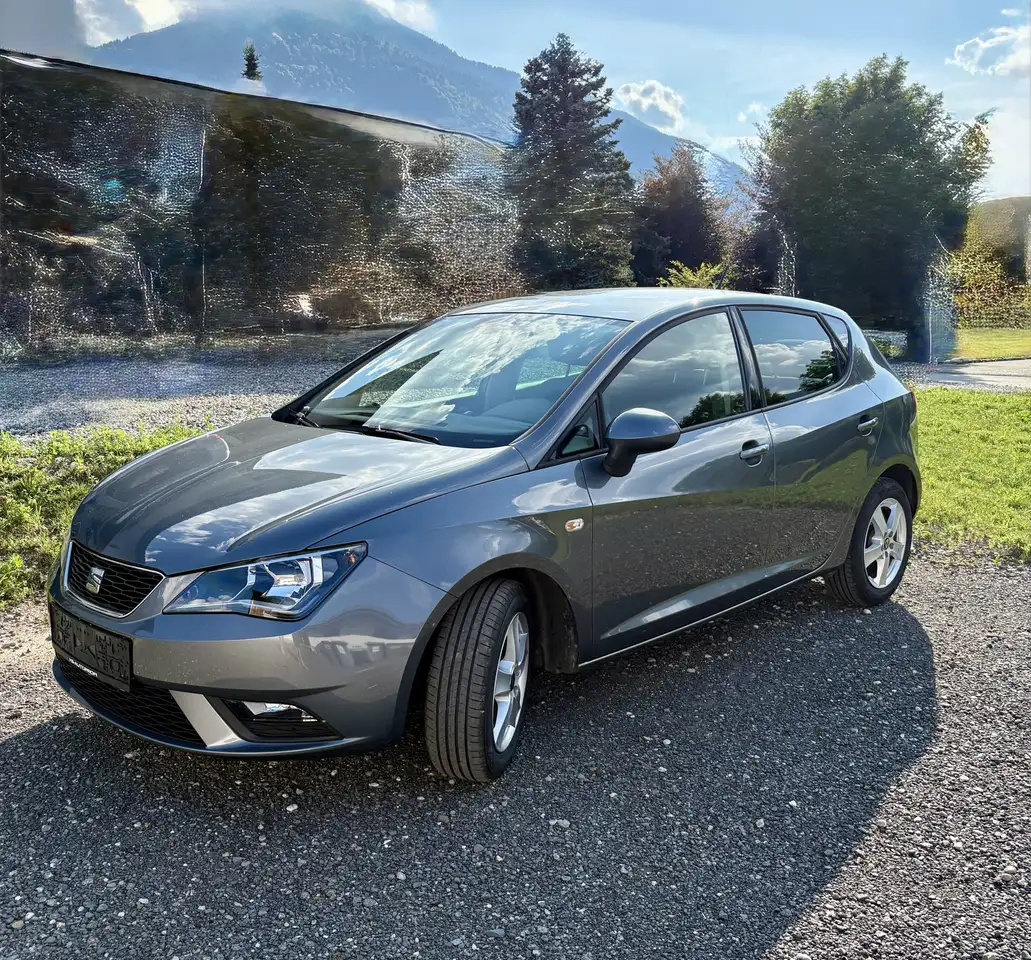SEAT Ibiza Style — photo 1 of 15