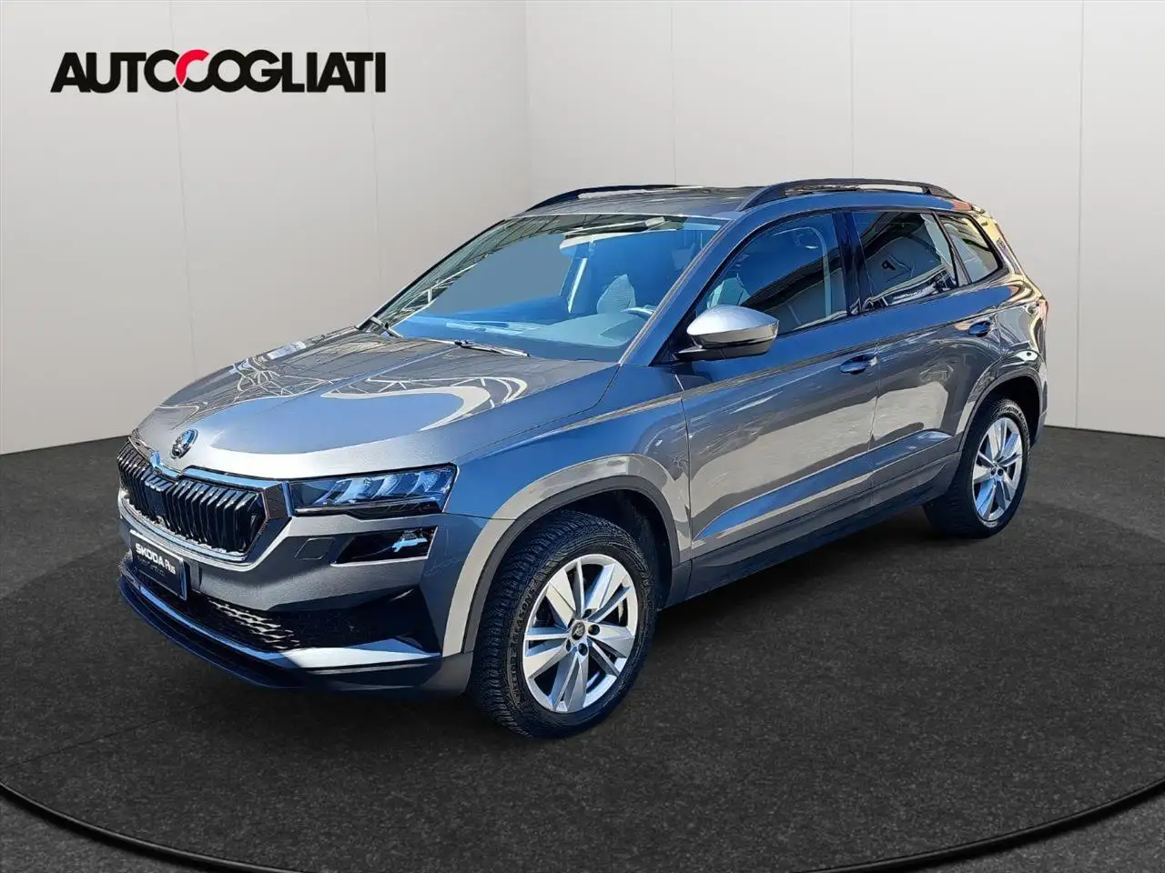Skoda Karoq Karoq 2.0 TDI 150 CV Executive DSG 4X4 — photo 1 of 15