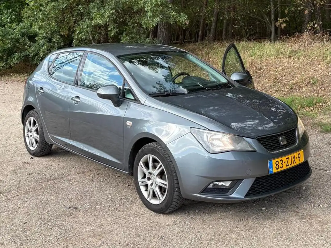 SEAT Ibiza Ibiza 1.2 TSI Style — photo 1 of 35