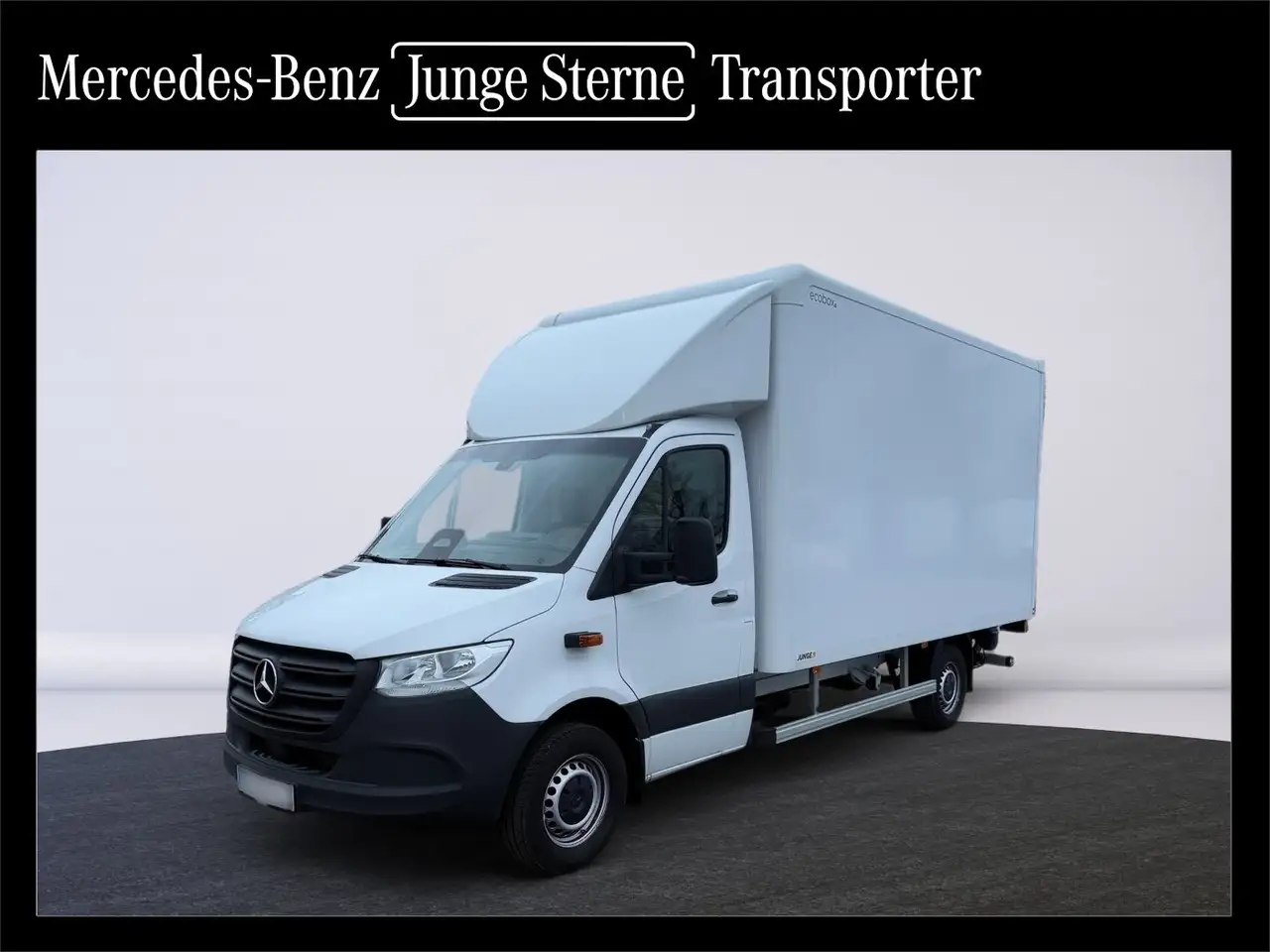 Mercedes-Benz Sprinter 315 CDI Koffer Lang 910 kg Nutzlast,LBW — photo 1 of 22