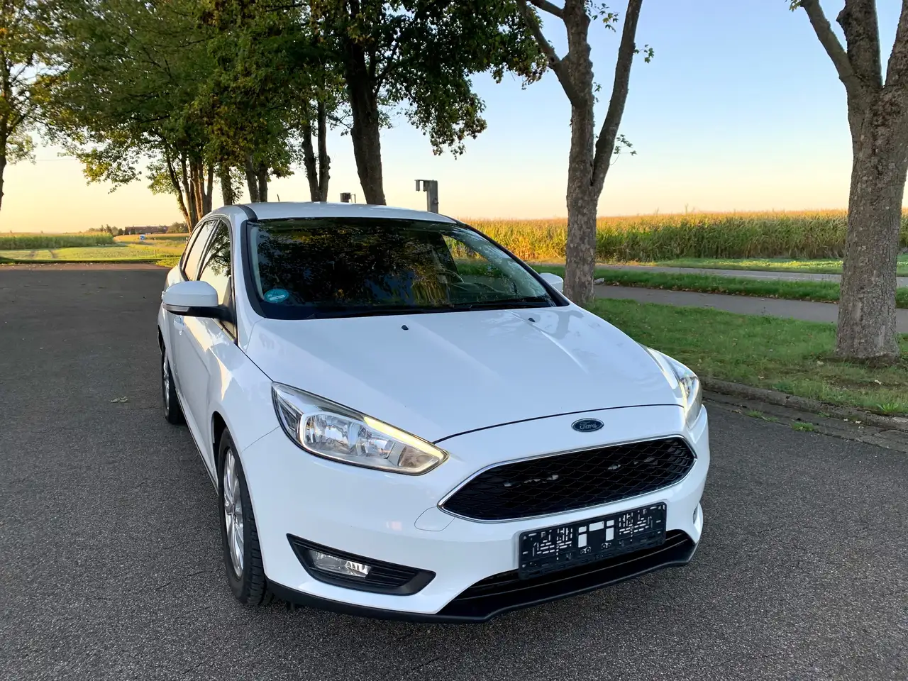 Ford Focus 2.0 Business neue Zahnriemen — photo 1 of 18