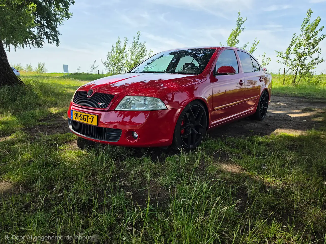 Skoda Octavia Octavia 2.0 TFSI RS — photo 1 of 12