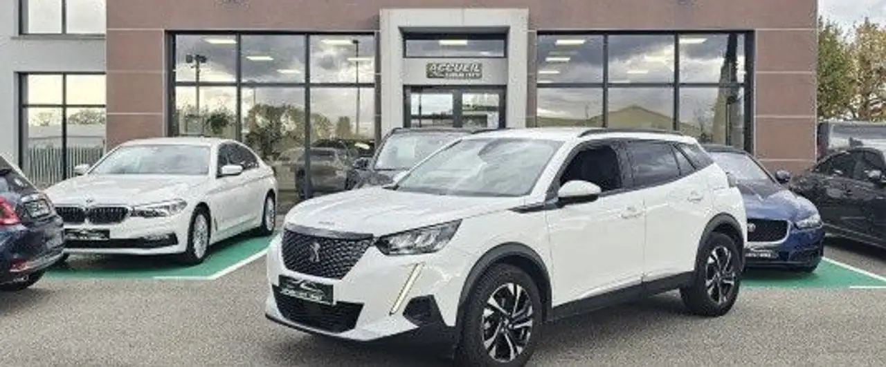 Peugeot 2008 PureTech 100CH Active Business — photo 1 of 10