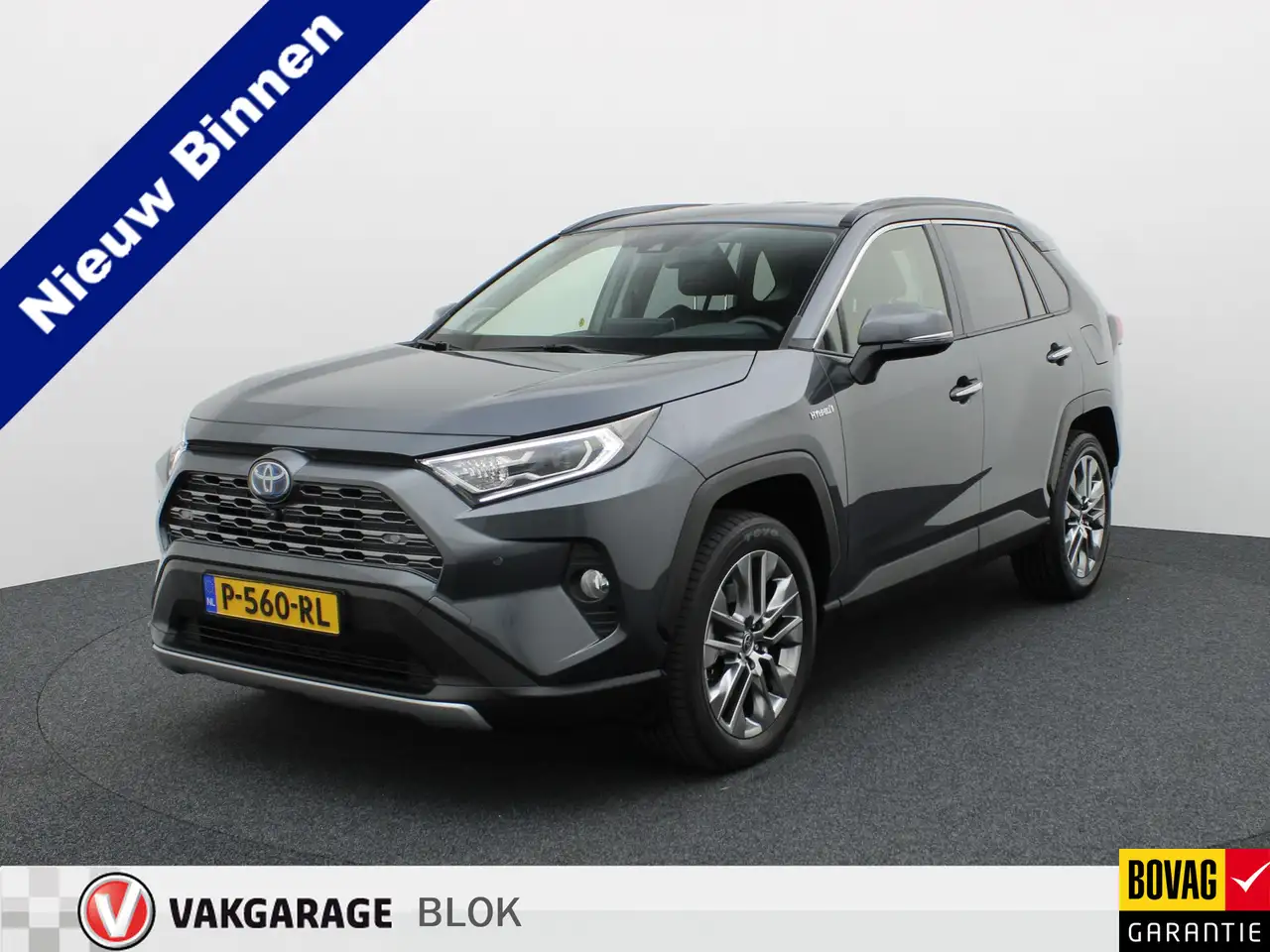 Toyota RAV 4 2.5 Hybrid Executive | Bear Lock | Memory Seat | 3 — photo 1 of 40