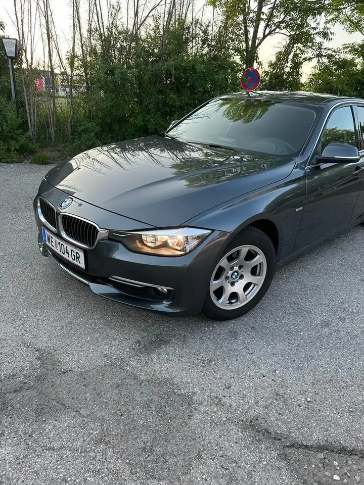 BAW Andra Luxury Line F30 — photo 1 of 9