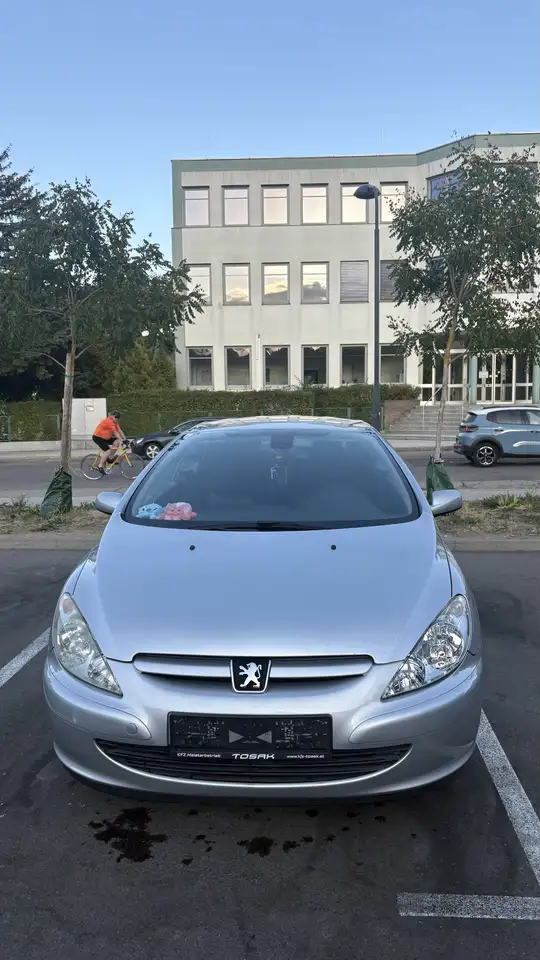 Peugeot 307 CC 1,6 16V — photo 1 of 9