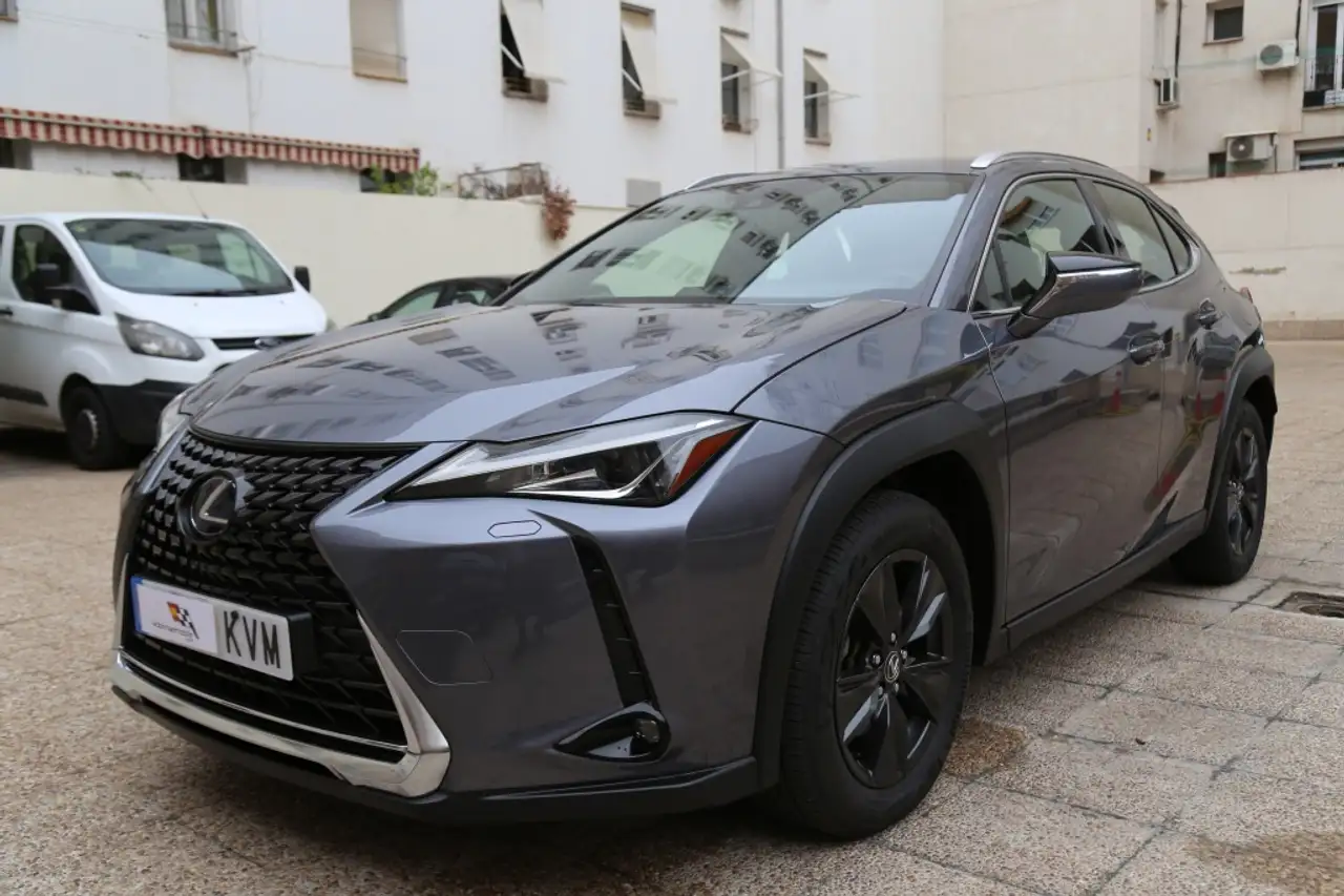 Lexus UX 250h Business Navigation 2WD — photo 1 of 15