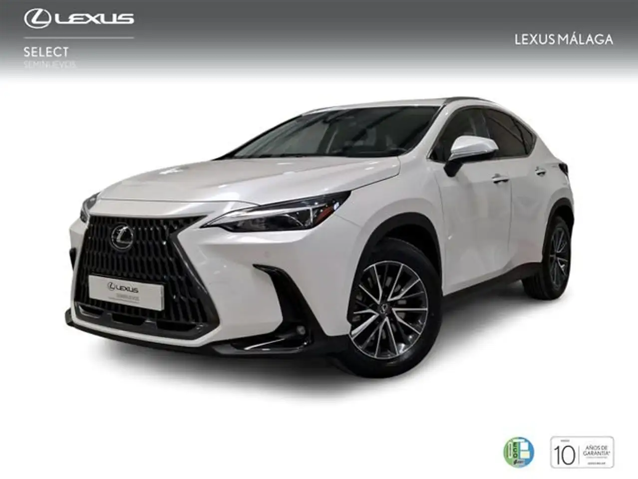 Lexus NX 450h+ Premium+ 4WD — photo 1 of 19